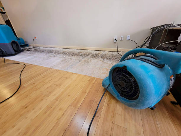 Professional Flood Damage Cleanup technician working in Fairmount, NY
